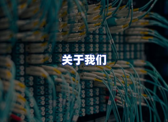 专业团队